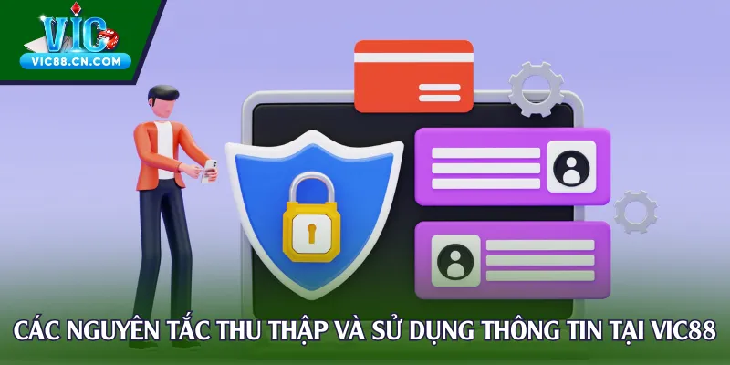 Các nguyên tắc thu thập và sử dụng thông tin tại Vic88