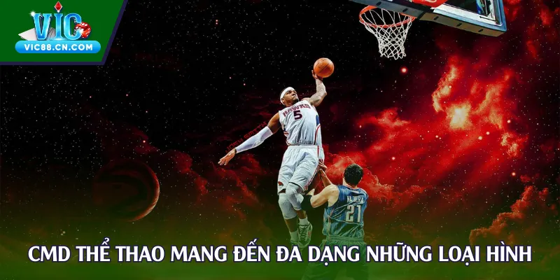 CMD thể thao mang đến đa dạng những loại hình hấp dẫn