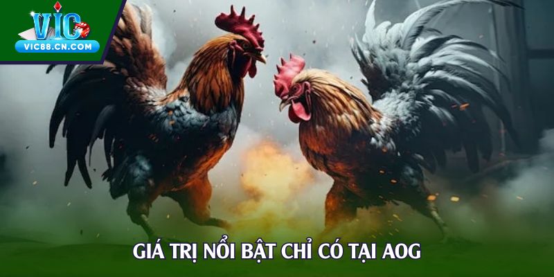 Giá trị nổi bật chỉ có tại AOG