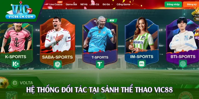 Hệ thống đối tác cung cấp dịch vụ tại sảnh thể thao Vic88