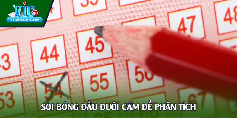 Soi bóng đầu đuôi câm để phân tích